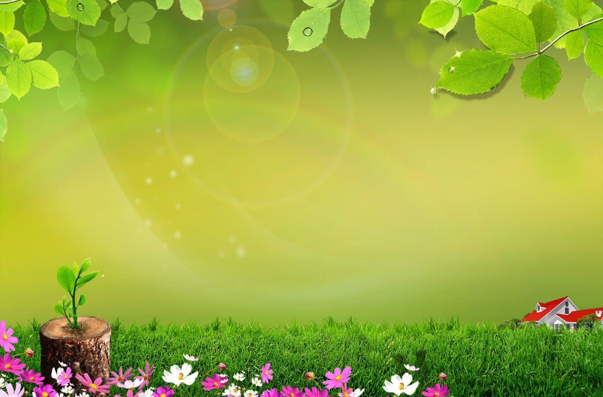Slide background